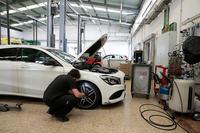 C. Santos VP | Mercedes-Benz | Funchal - Funchal