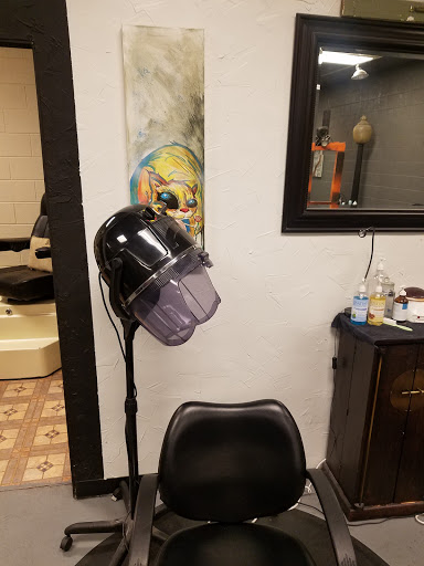 Hair Salon «Twisted Bohemian Salon», reviews and photos, 630 N 19th St, Colorado Springs, CO 80904, USA