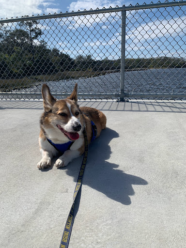 Memorial Park «Fort Caroline National Memorial», reviews and photos, 12713 Ft Caroline Rd, Jacksonville, FL 32225, USA