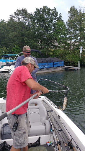 Boat Dealer «Lake Country Marine», reviews and photos, 13721 Anna Point Ln, Mineral, VA 23117, USA