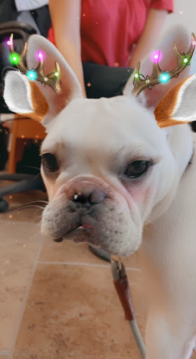 Insurance Agency «Crystal Martinez - State Farm Insurance Agent», reviews and photos