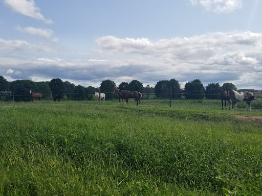Livestock producer Maryland