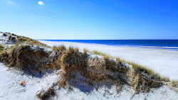 Kargard Beach'in fotoğrafı çok temiz temizlik seviyesi ile