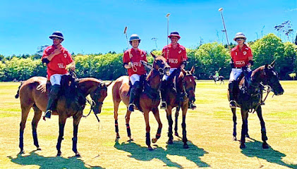 Waiheke Polo Club