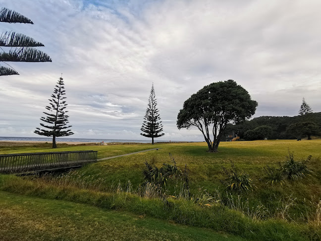 Comments and reviews of Freedom Camping Onemana Beach