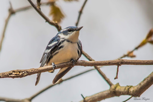 Nature Preserve «Eidolon Nature Preserve», reviews and photos, 2146 Orleans Rd, Great Cacapon, WV 25422, USA