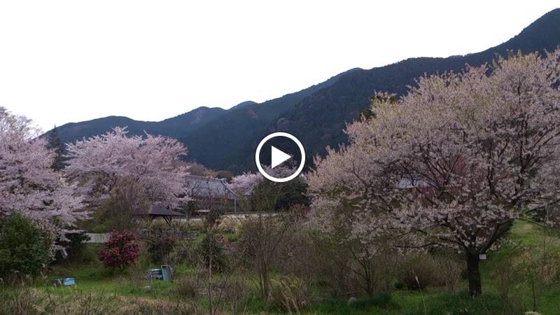 高天寺 橋本院