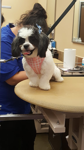 Pet Supply Store «PetSmart», reviews and photos, 533 S Broad St, Meriden, CT 06450, USA