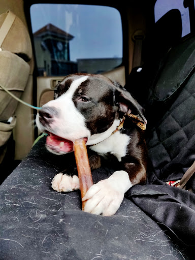 Pet Supply Store «The Animal Park Marketplace», reviews and photos, 744 W Riverdale Rd, Riverdale, UT 84405, USA