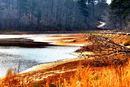 State Park «Panola Mountain State Park», reviews and photos, 2620 GA-155 N, Stockbridge, GA 30281, USA