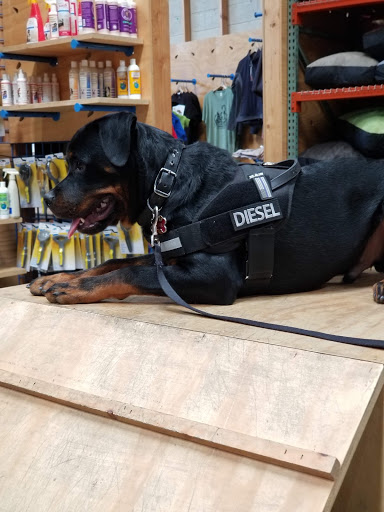 Pet Supply Store «BlueCollar Working Dog», reviews and photos, 1320 Glendale Blvd, Los Angeles, CA 90026, USA