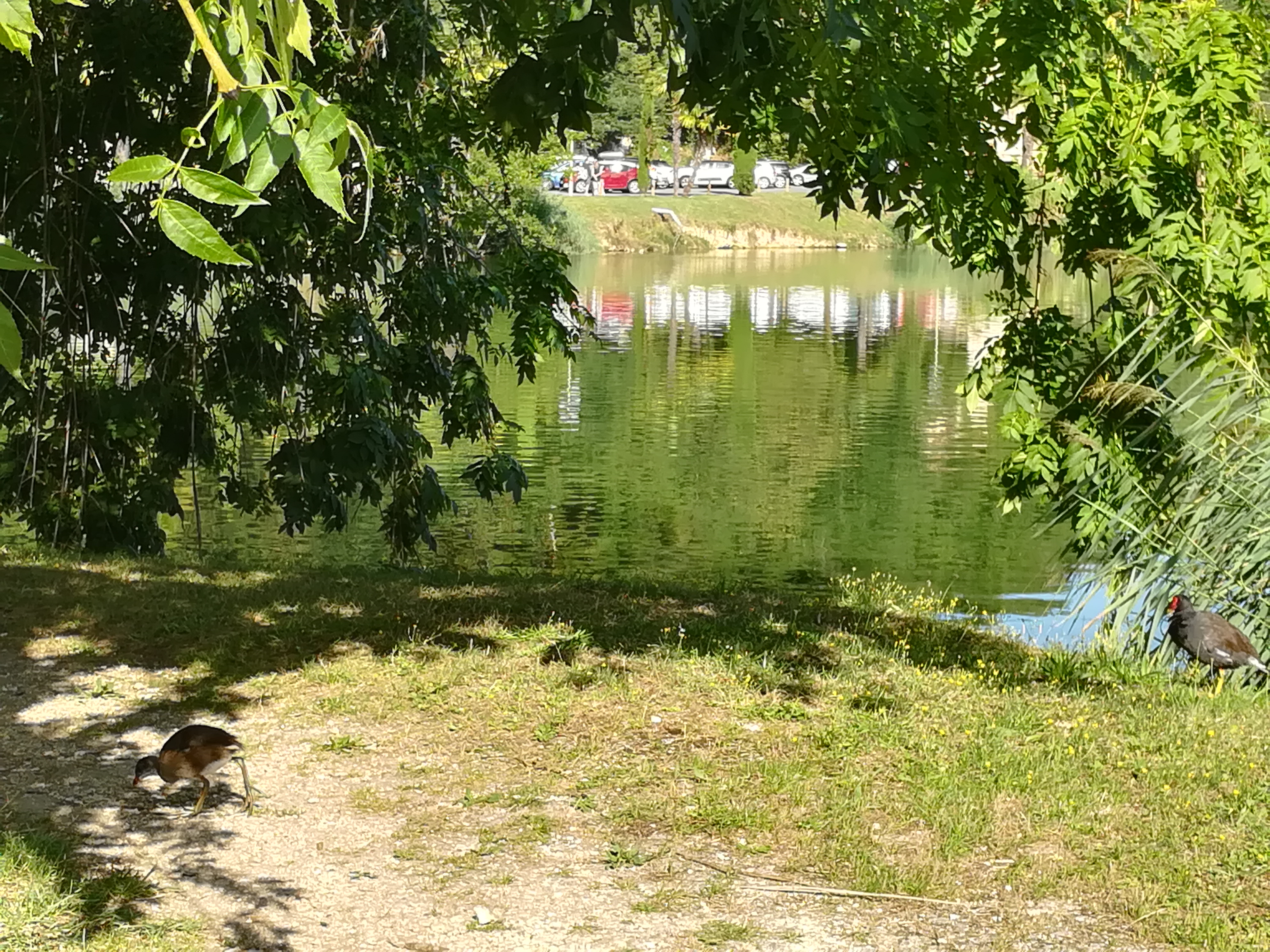 Photo n° 7 de l'avis de Cathy.A fait le 16/08/2019 à 13:46