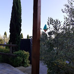 Photo n°2 de l'avis de Filippo. fait le 16/09/2017 à 12:10 sur le  La Baracchina à Orciano Pisano