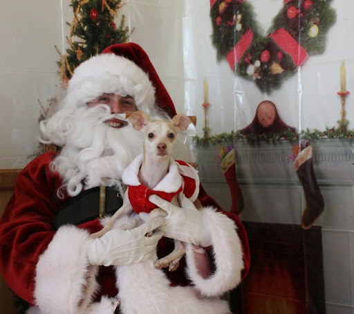 Pet Supply Store «Pet Supplies Plus», reviews and photos, 180 N Randall Rd, North Aurora, IL 60542, USA