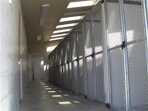 Pet Boarding Service «Bed & Biscuit Pet Resort», reviews and photos, 5525 AZ-69, Mayer, AZ 86333, USA