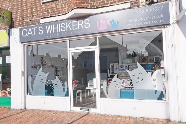 Comments and reviews of Cat's Whiskers Veterinary Clinic (Worthing)