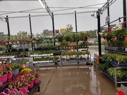 Department Store «Walmart Supercenter», reviews and photos, 1882 Holly St, Blair, NE 68008, USA