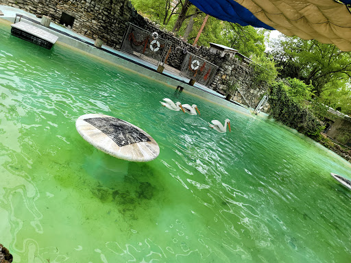 Zoo «Memphis Zoo», reviews and photos, 2000 Prentiss Pl, Memphis, TN 38112, USA