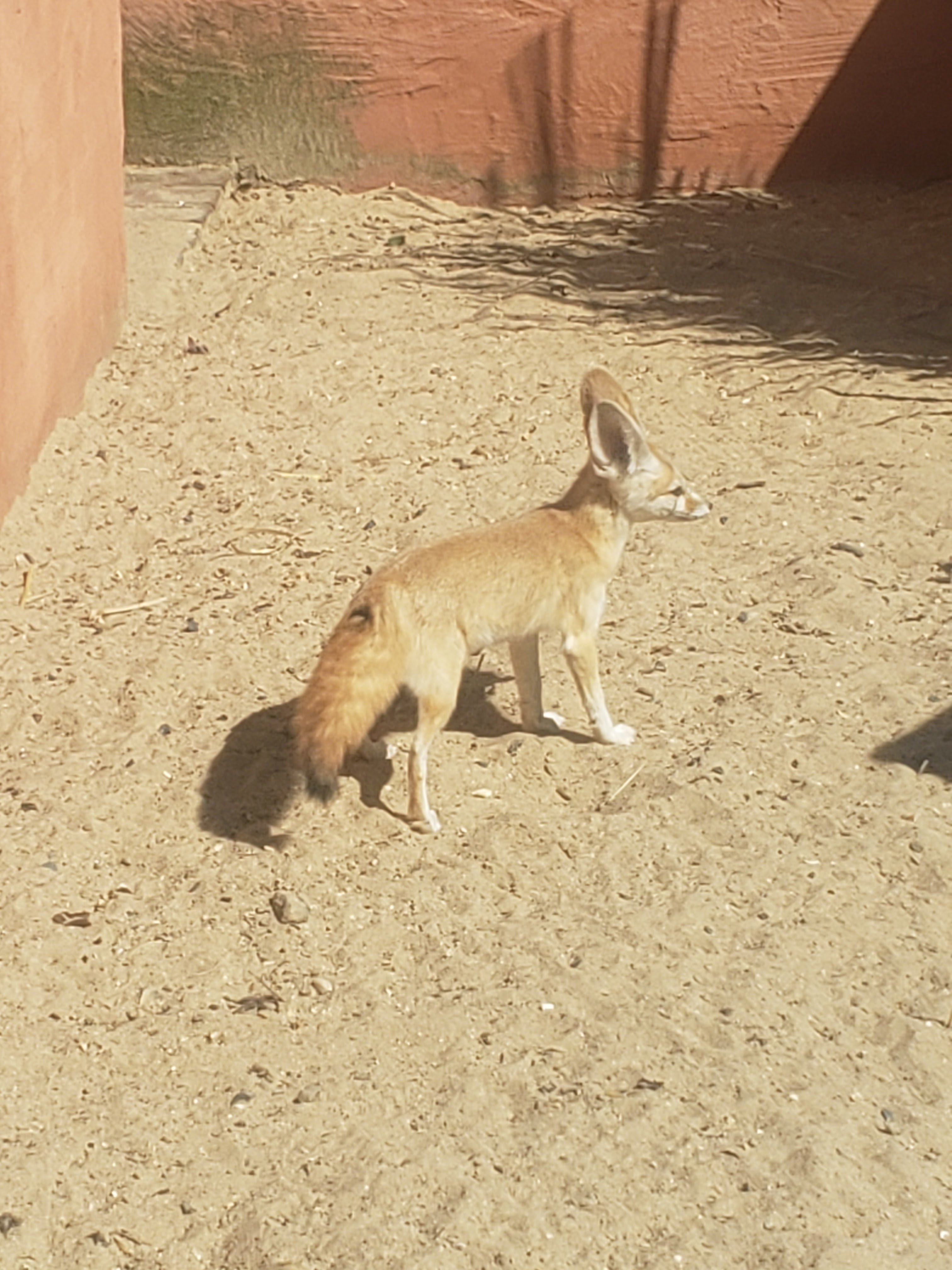 Photo n° 5 de l'avis de Severine. fait le 21/08/2023 à 19:14
