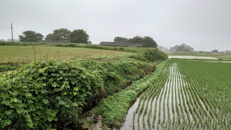 今城跡