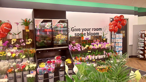 Grocery Store «Winn-Dixie», reviews and photos, 1651 SE US Hwy 19, Crystal River, FL 34429, USA