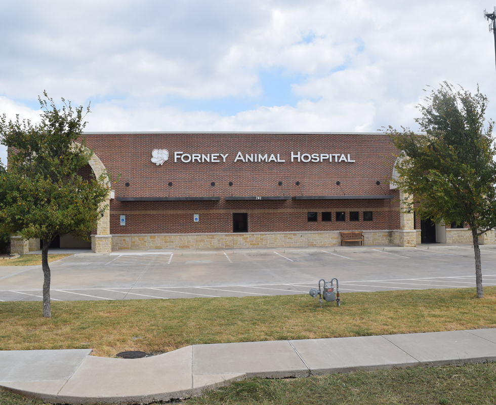 VCA Forney Animal Hospital