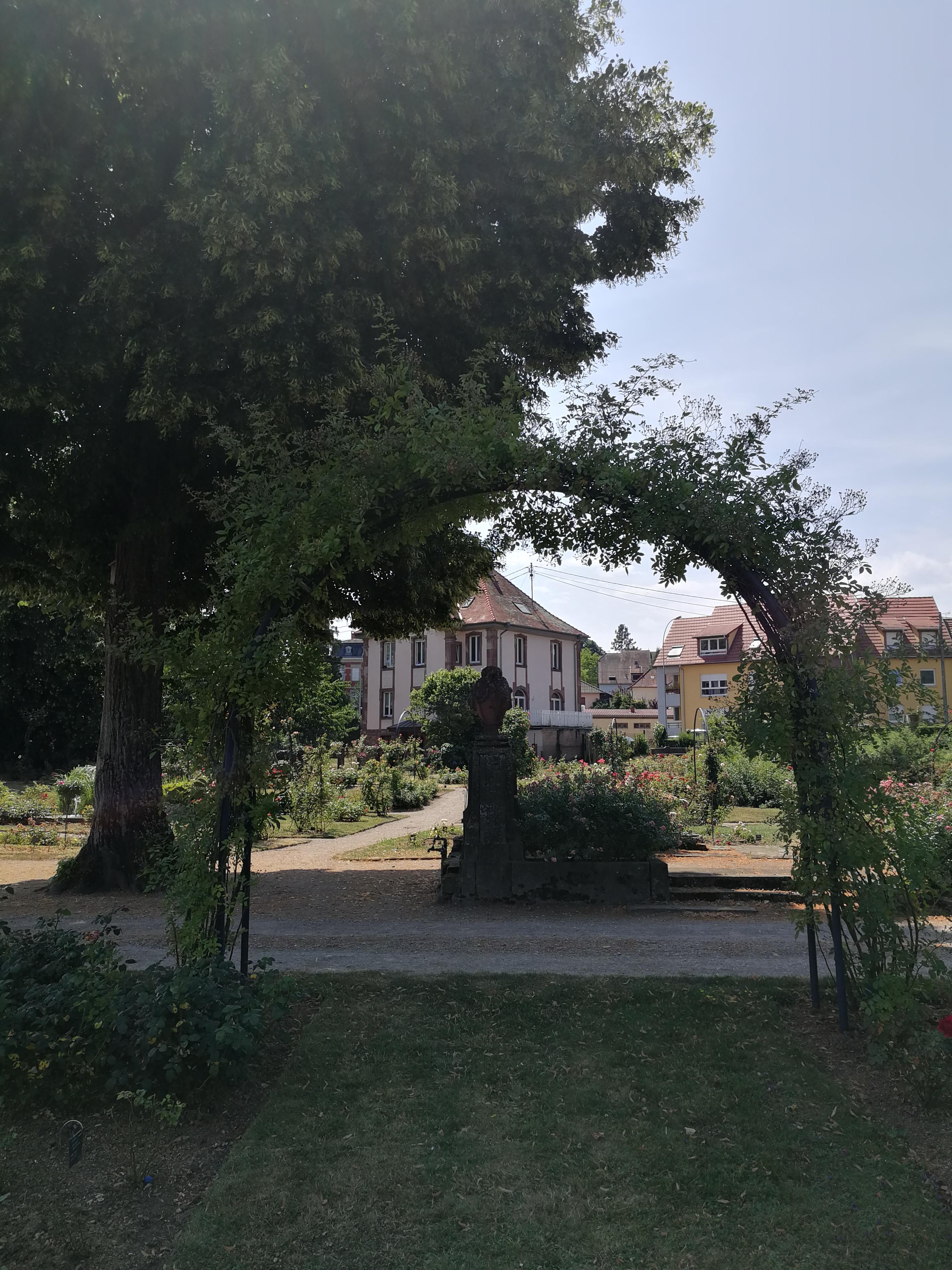Photo n° 4 de l'avis de Olivier.e fait le 17/07/2018 à 16:04