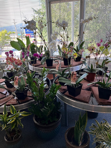 Florist «Skyway Creations», reviews and photos, 1407 S 8th St, Colorado Springs, CO 80905, USA