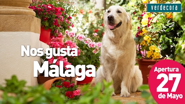 Imagen de Verdecora (2 de 30)
