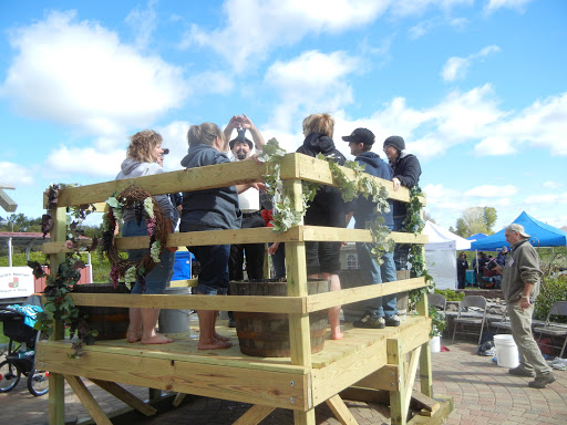 Vineyard «Millner Heritage Vineyard & Winery», reviews and photos, 32025 MN-15, Kimball, MN 55353, USA