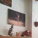 Photo n°2 de l'avis de PATRIZIA.i fait le 10/07/2022 à 16:01 sur le  Hotel Lo Scoiattolo à Santa Sofia