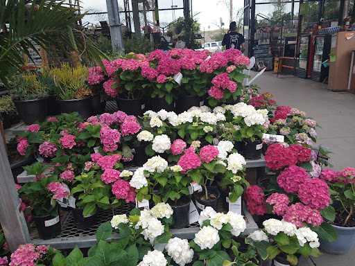 Home Improvement Store «The Home Depot», reviews and photos, 2707 S Towne Ave, Pomona, CA 91766, USA