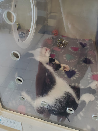 Pet Supply Store «Petco Animal Supplies», reviews and photos, 8010 Wedgewood Ln N, Maple Grove, MN 55369, USA