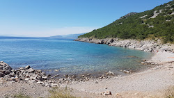 Kozica Camp Beach'in fotoğrafı çok temiz temizlik seviyesi ile
