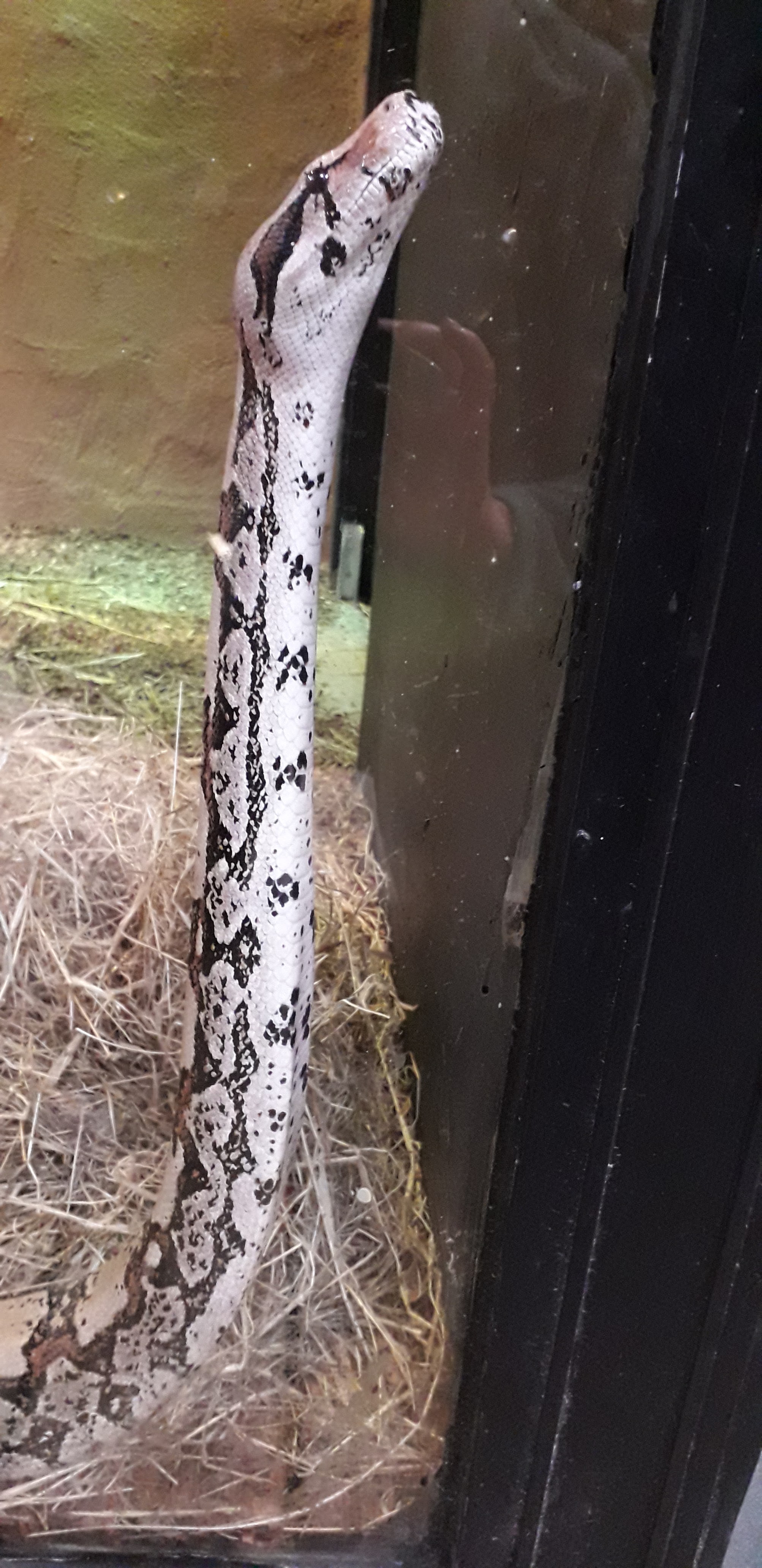 Photo n° 6 de l'avis de Nelly.n fait le 05/06/2022 à 19:16