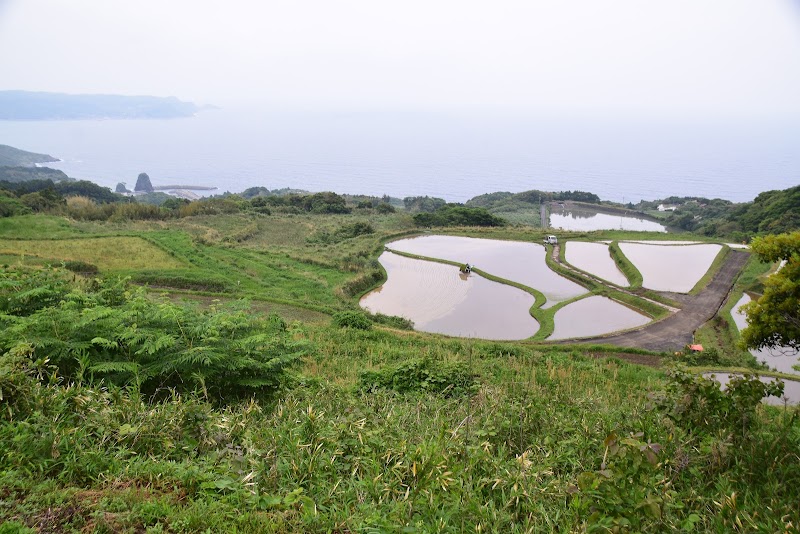 東後畑棚田