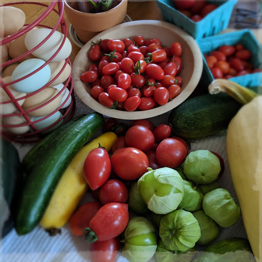 Home Improvement Store «Tractor Supply Co.», reviews and photos, 4141 Martin Way E #105, Olympia, WA 98516, USA