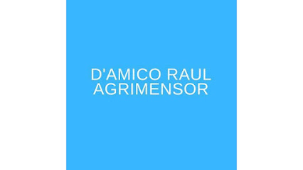 D'AMICO RAUL AGRIMENSOR