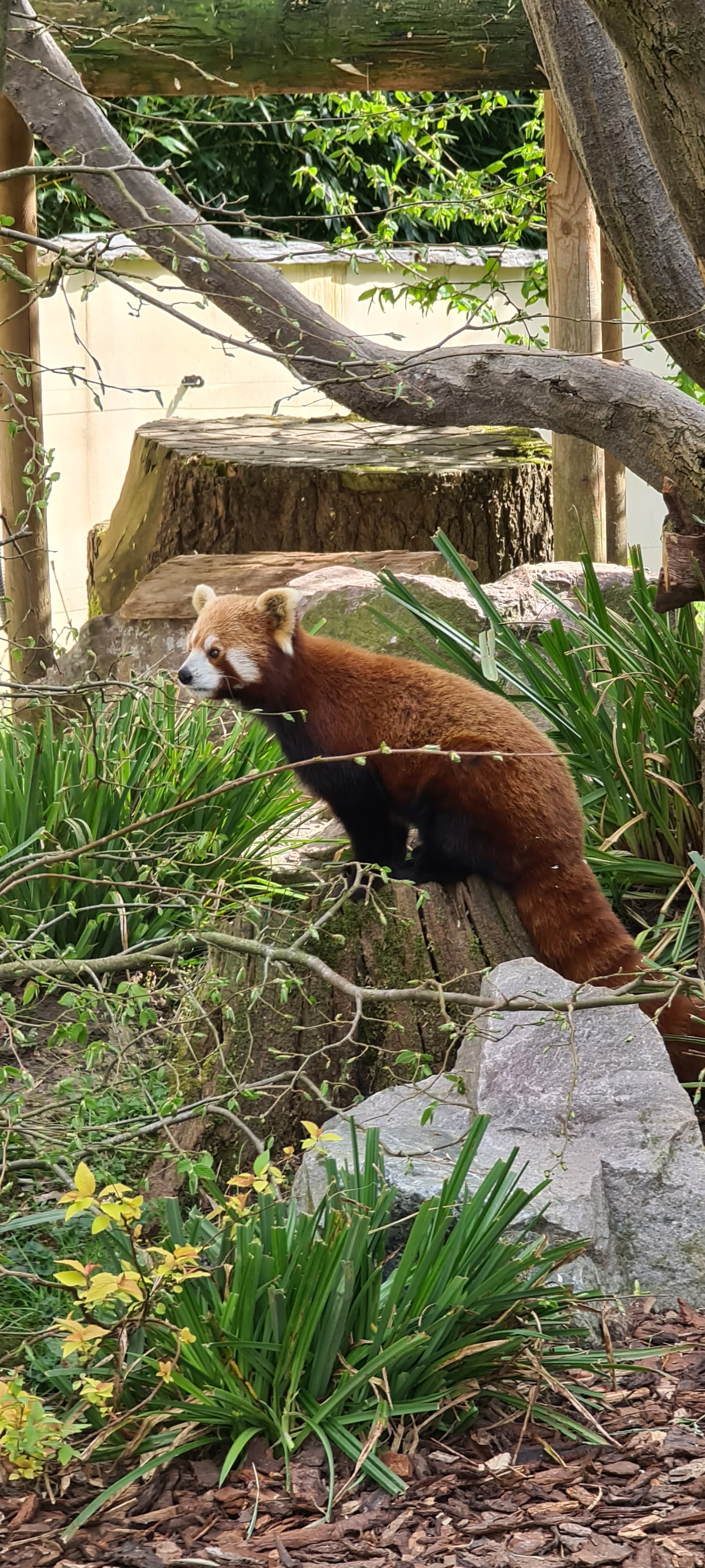 Photo n° 14 de l'avis de René.E fait le 14/04/2022 à 20:28