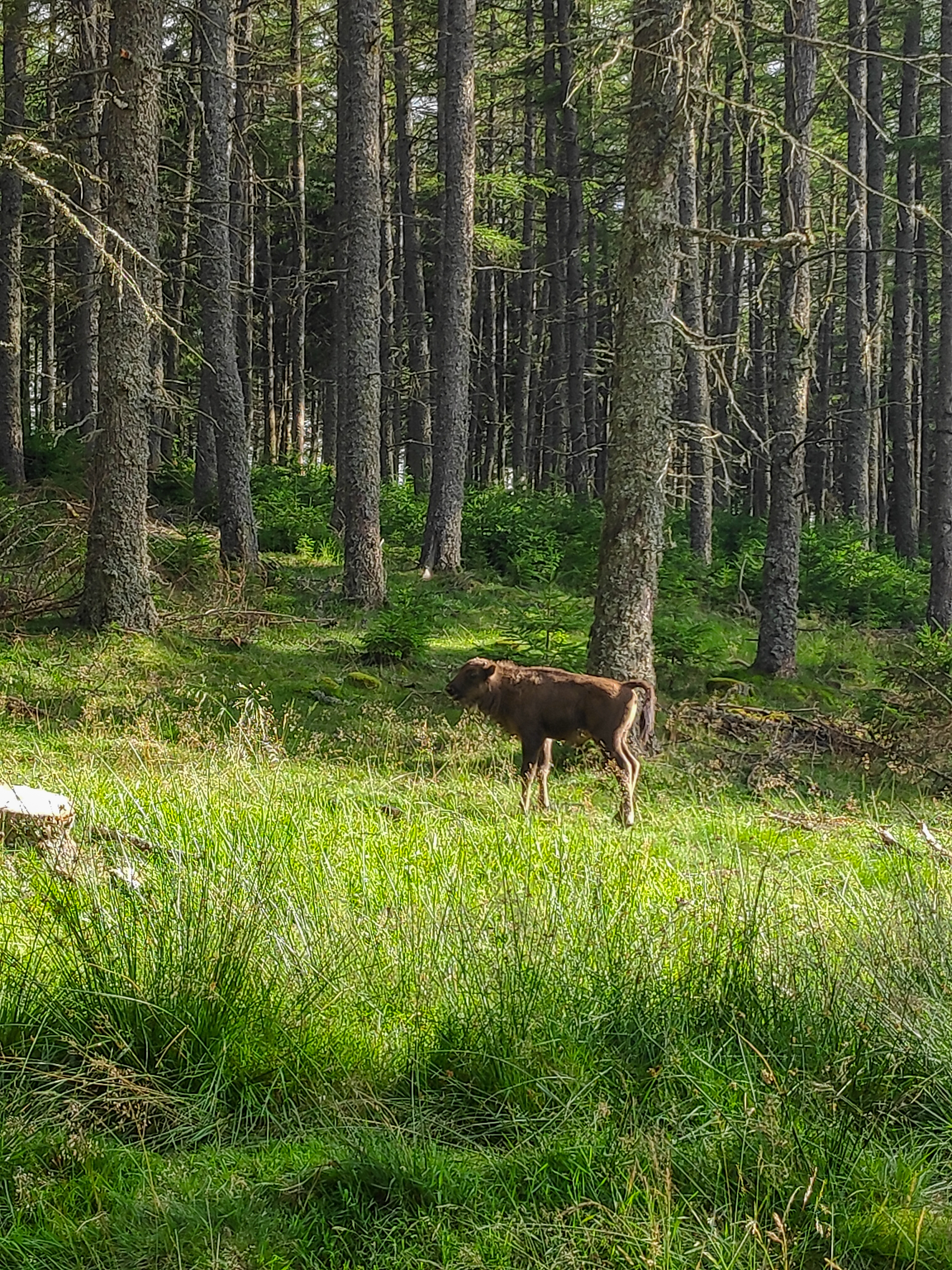 Photo n° 4 de l'avis de Laura.i fait le 02/08/2021 à 17:01