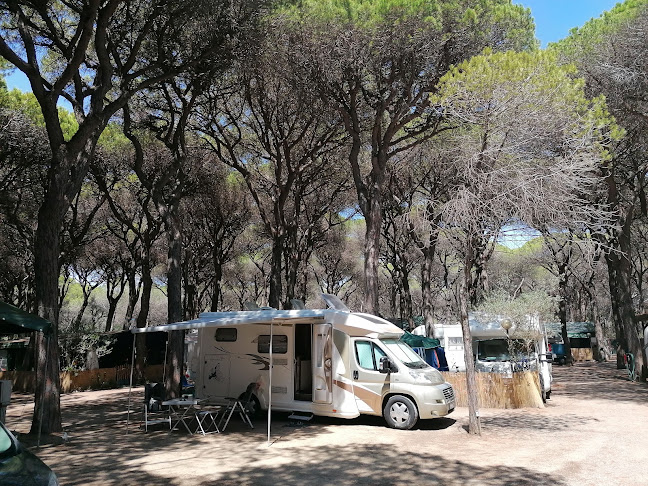 Camping Rosmarina - Campeggio