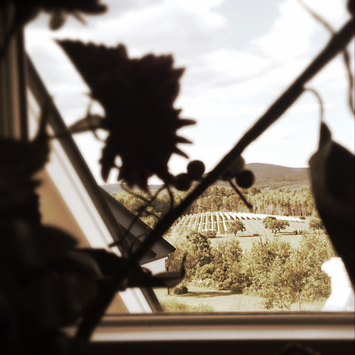 Winery «Cellardoor Winery», reviews and photos, 367 Youngtown Rd, Lincolnville, ME 04849, USA