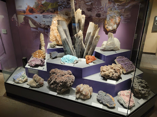 Natural History Museum «Cleveland Museum of Natural History», reviews and photos, 1 Wade Oval Dr, Cleveland, OH 44106, USA