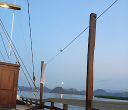 Best Komodo Liveaboard - Nyaman Boat photo