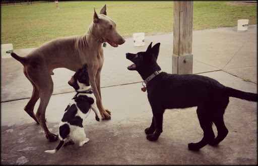 Park «Creekwood Park», reviews and photos, 7025 44th Ave E, Bradenton, FL 34205, USA