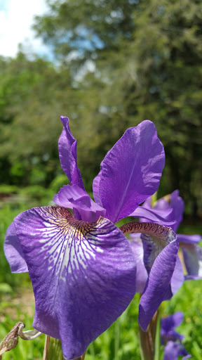 Nature Preserve «Rancocas Nature Center», reviews and photos, 794 Rancocas Mt Holly Rd, Westampton, NJ 08060, USA
