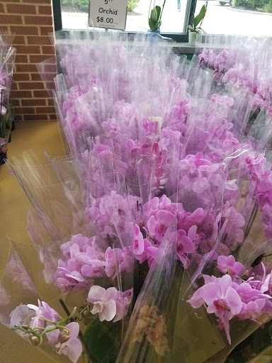 Produce Market «Produce Junction Inc», reviews and photos, 6825 Tilton Rd, Egg Harbor Township, NJ 08234, USA