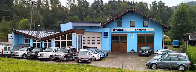 Autohaus Erlmoser GmbH
