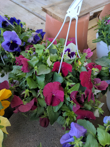 Home Improvement Store «Menards», reviews and photos, 3800 National Rd E, Richmond, IN 47374, USA