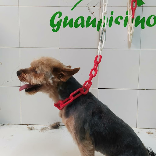 Peluquerias caninas y de mascotas en Zamora de 2024